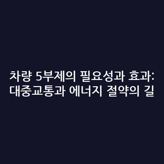 차량 5부제의 필요성과 효과: 대중교통과 에너지 절약의 길