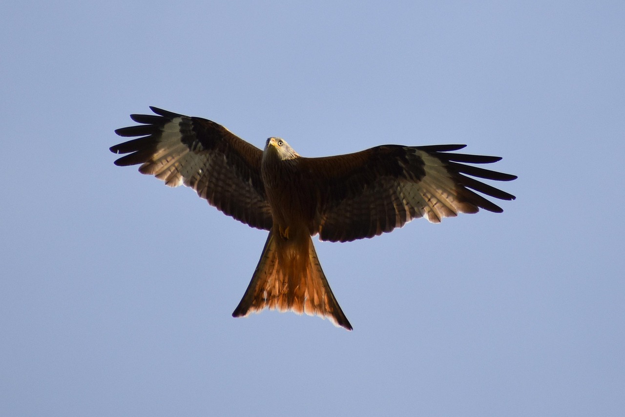 밀란 대 인테르 경기 중 선수들이 공을 차고 있는 긴장감 넘치는 순간