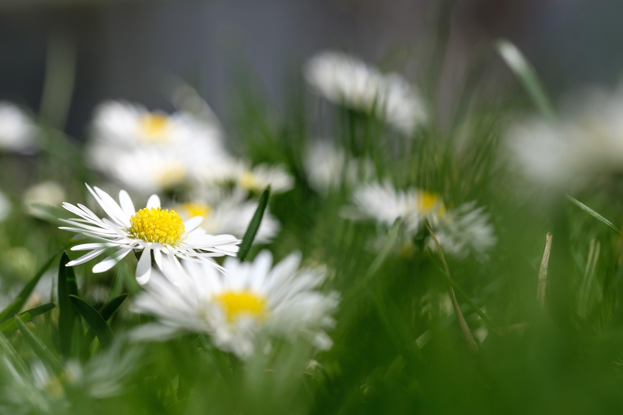 월간남친과 함께하는 데이트 장면, 행복한 표정을 짓고 있는 커플