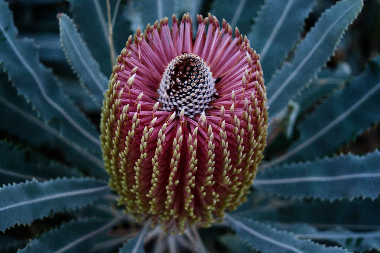 뱅크시의 정체와 그의 예술 세계: 로빈 거닝엄의 가능성 뱅크시의 거리 예술 작품이 담긴 벽에 대한 사진으로 사회적 메시지를 전달하는 모습
