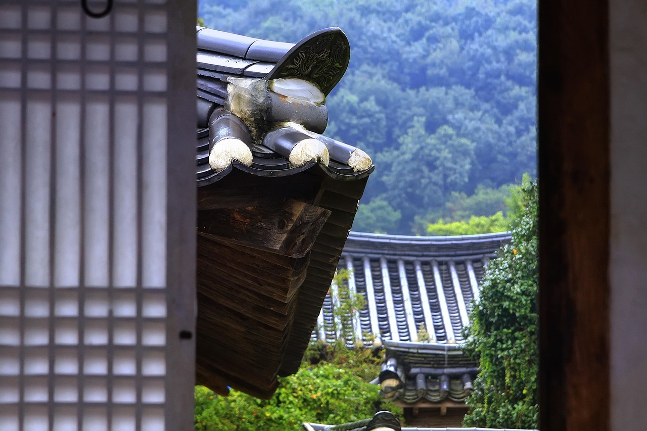 김동환이 자신의 블로그에서 독자와 소통하는 모습을 담은 이미지