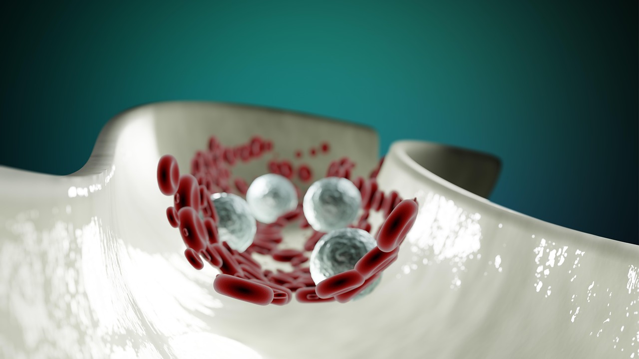 WBC 8강 경기 중 선수들이 치열하게 공을 주고받는 장면