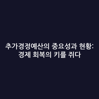 추가경정예산의 중요성과 현황: 경제 회복의 키를 쥐다