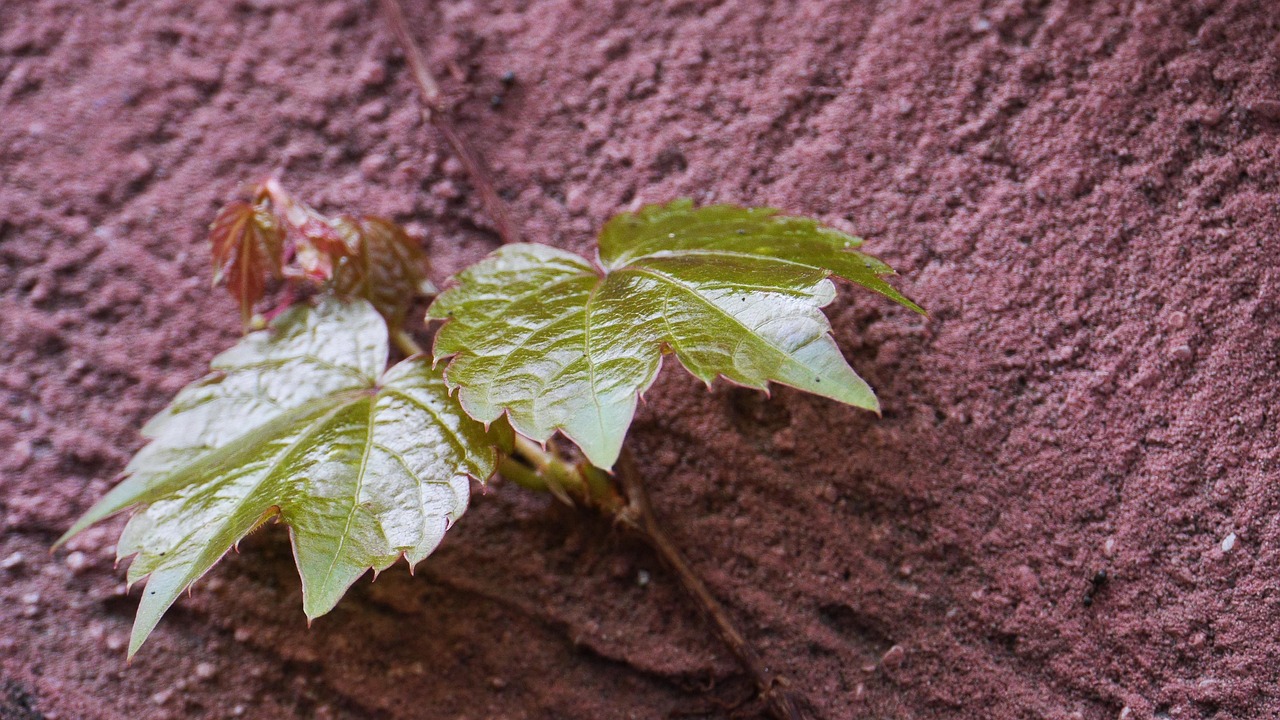 인천 대 김천상무 경기 중 선수들이 공을 다투는 긴장감 넘치는 순간