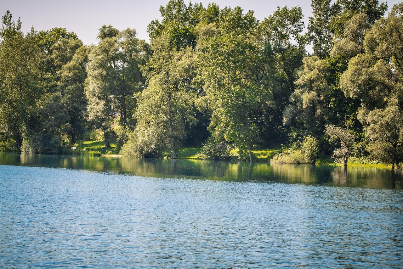 최연수의 다양한 활동을 담은 사진으로, 그녀의 열정이 느껴진다.