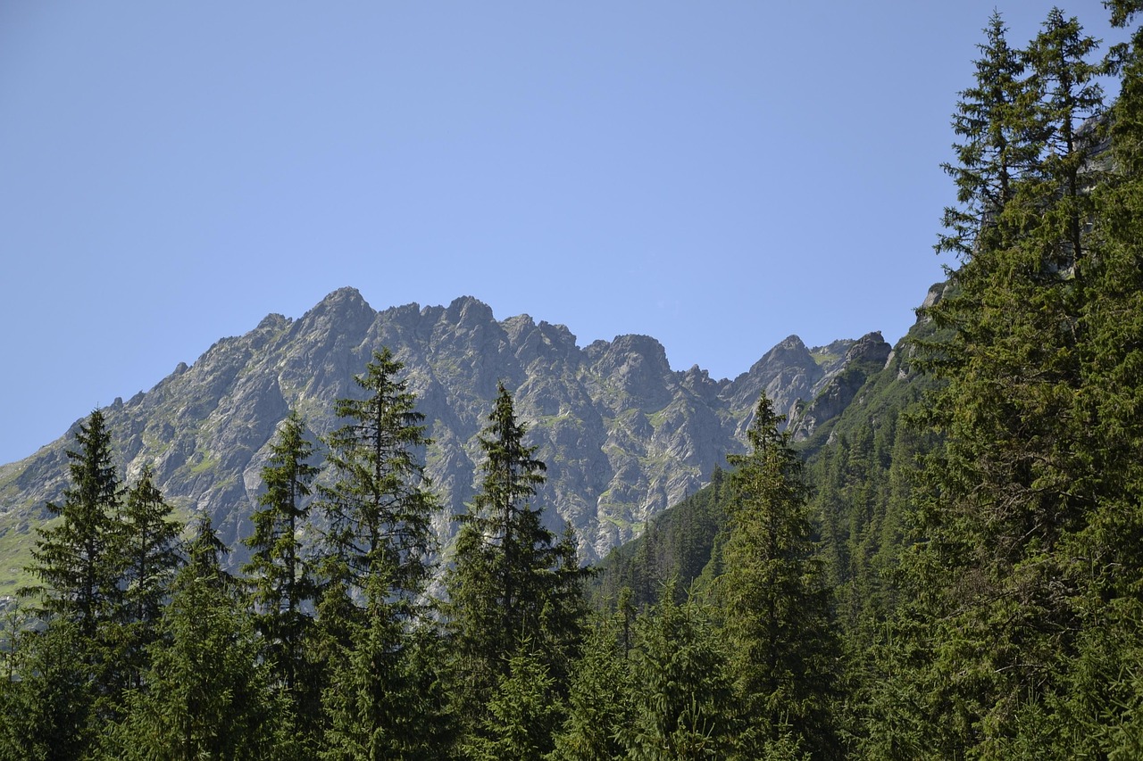 박시우가 밝은 표정으로 카메라를 바라보며 포즈를 취하는 모습