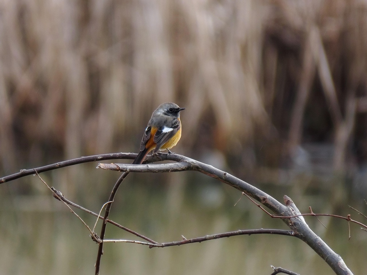 계약학과, 새로운 학업의 기회와 도전 다양한 학과의 전공을 탐색하는 대학생들이 함께 공부하는 모습