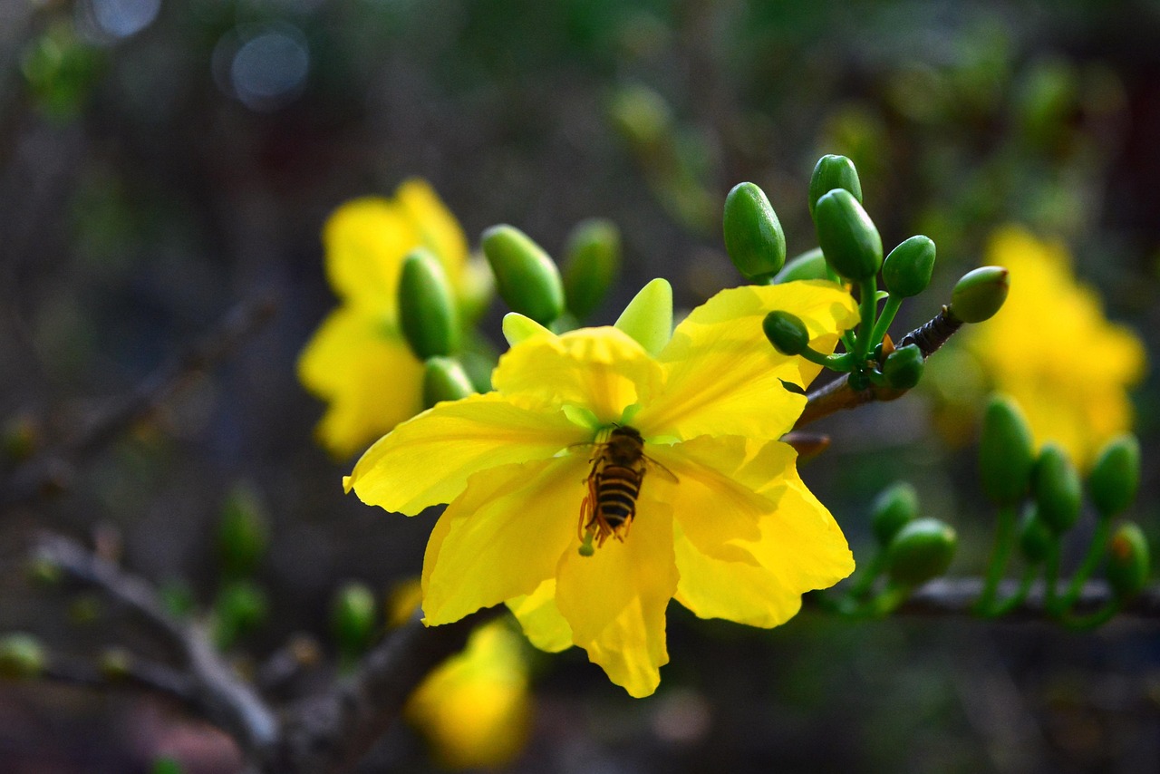 박정수의 다양한 작품이 전시된 갤러리 내부 모습