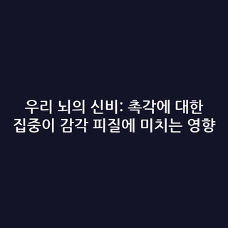 우리 뇌의 신비: 촉각에 대한 집중이 감각 피질에 미치는 영향