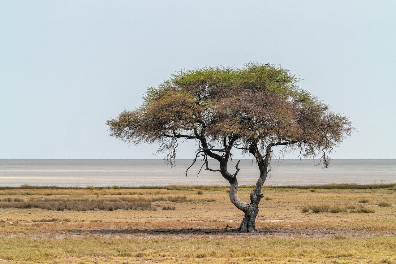 다양한 종류의 소금이 담긴 유리병들이 정돈된 주방 테이블 위에 놓여 있다.