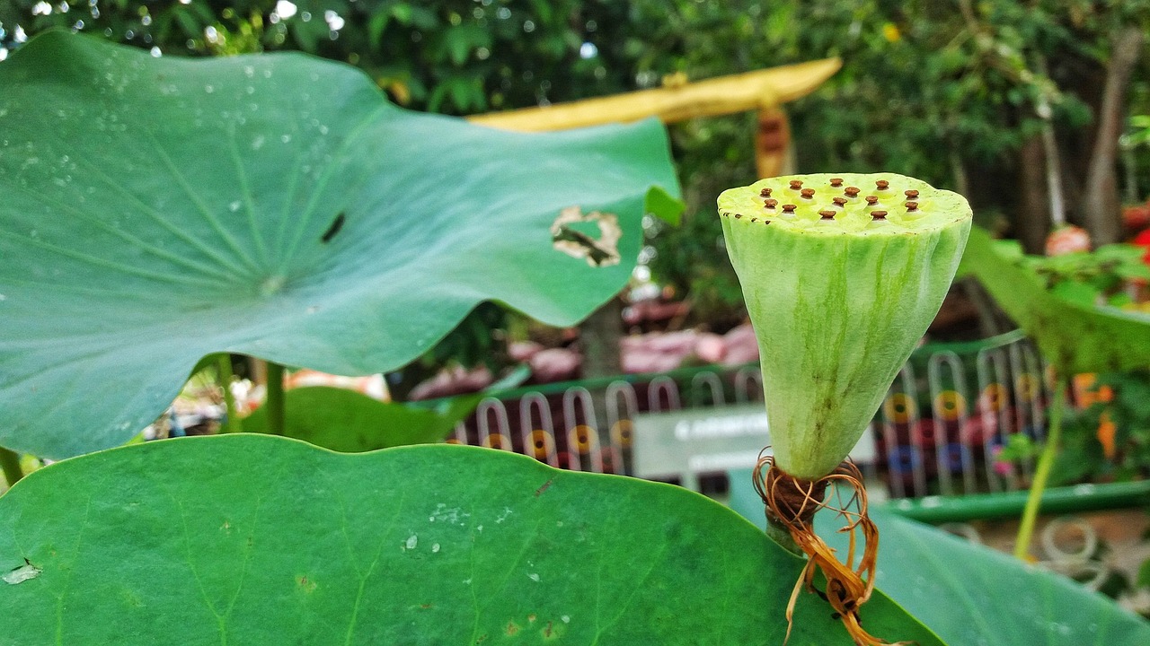 Artemis II 미션의 우주선이 발사 준비를 하는 모습과 함께 우주 탐사의 미래를 상징하는 이미지