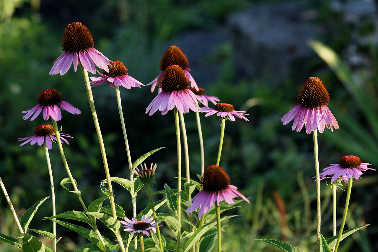 이강인, PSG에서의 새로운 변화와 이적 가능성에 대한 모든 것 이강인이 경기장에서 공을 드리블하며 골대를 향해 나아가는 모습