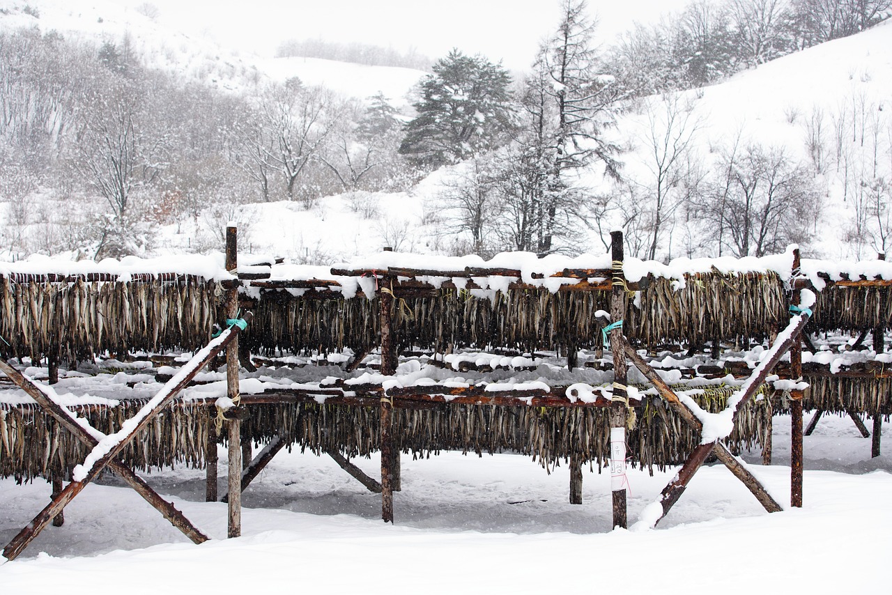 문채원이 드라마 촬영 중 웃으며 포즈를 취하는 모습