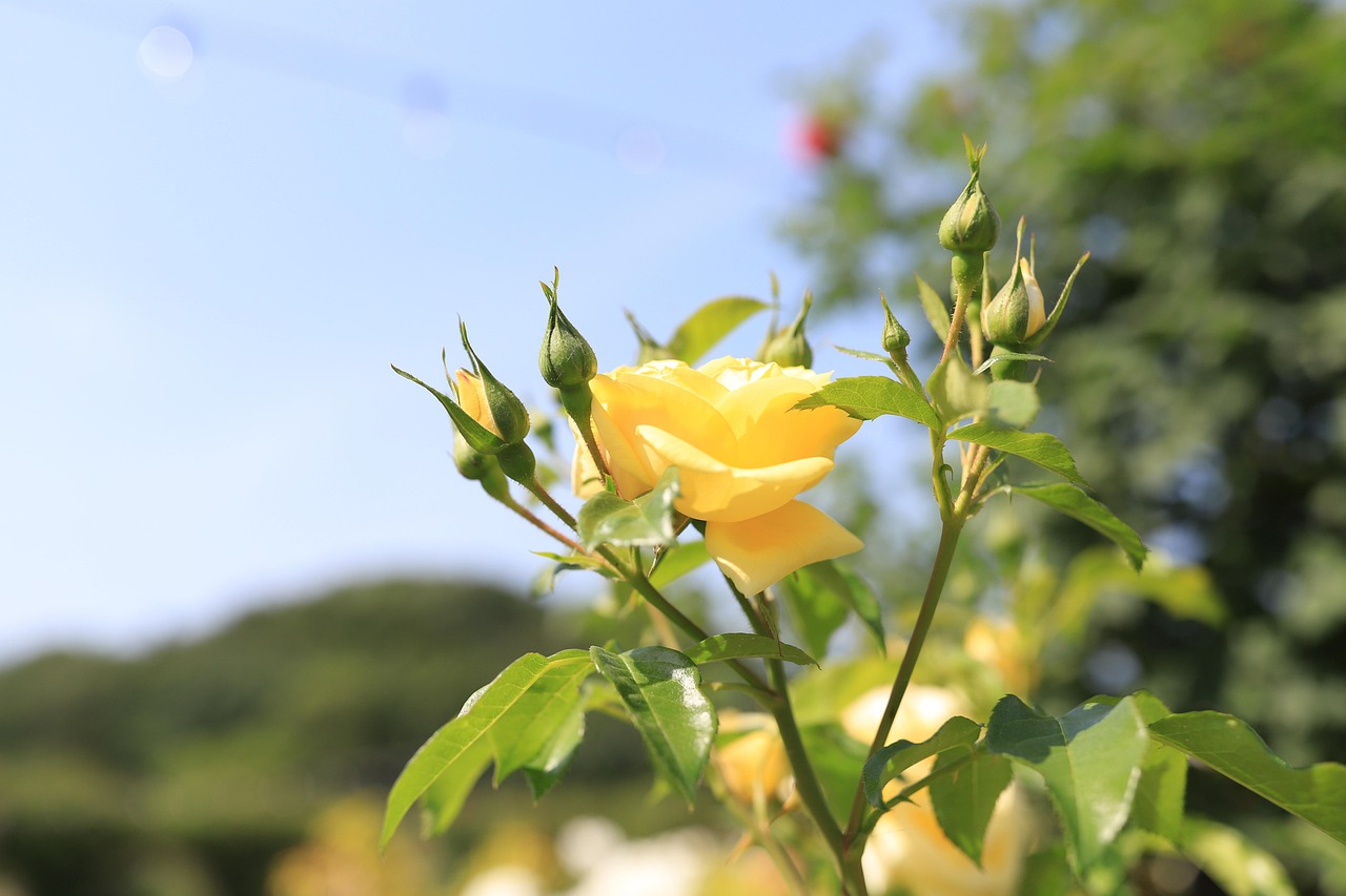 박용인이 열정적으로 발표하는 모습, 청중의 관심을 끌고 있는 장면