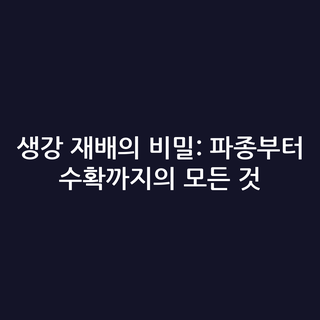 생강 재배의 비밀: 파종부터 수확까지의 모든 것