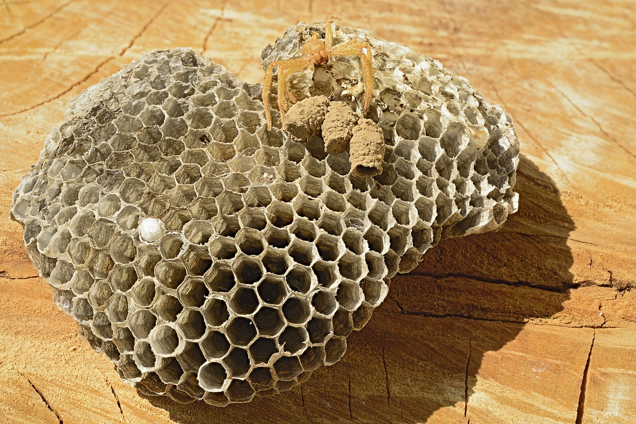 여론 조사를 위해 시민들이 설문에 참여하는 모습과 데이터 수집 과정