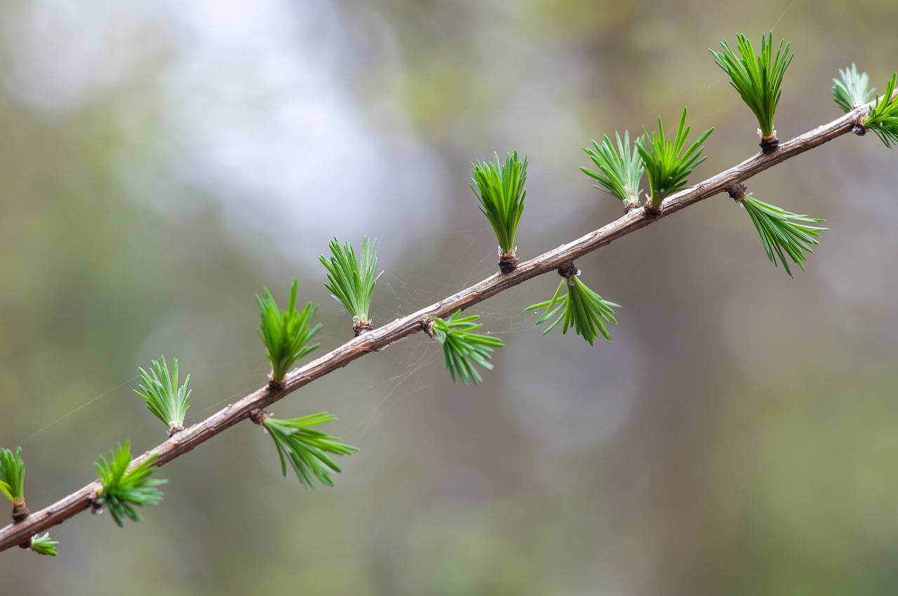 5월 4일 임시 공휴일을 기념하는 축제 분위기의 사람들 모습