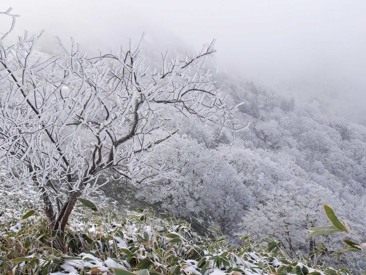 한파 특보를 알리는 기상청 화면과 추운 날씨에 대비하는 시민들