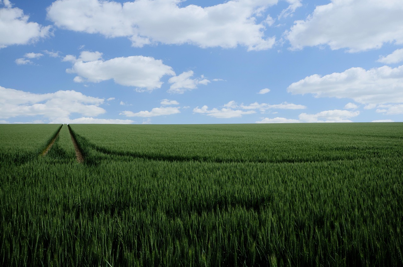 마크 도스 산토스가 작품을 설명하는 모습, 창의적인 예술적 분위기