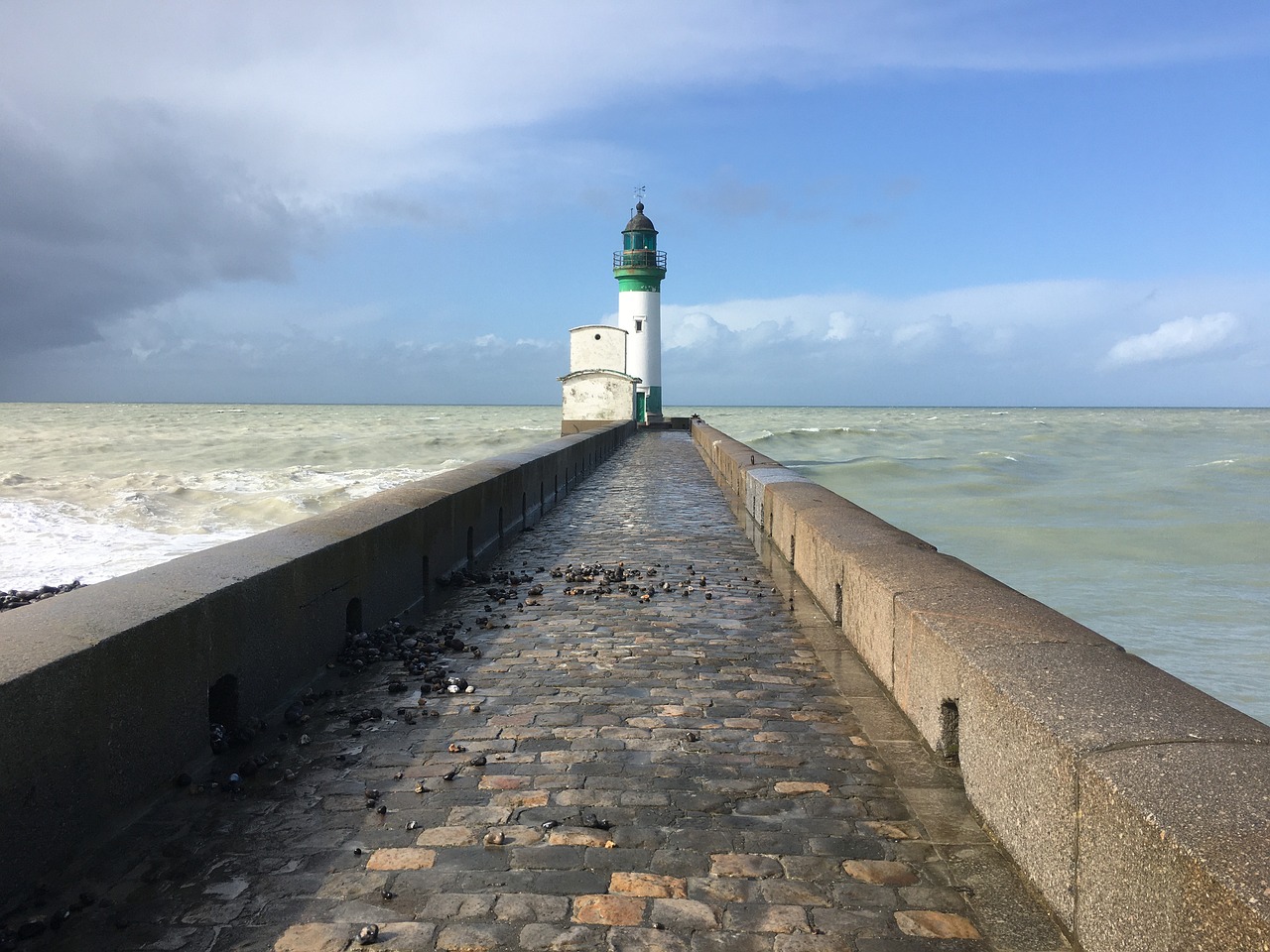 첼시와 포트 베일의 역사적인 재회: FA컵에서의 맞대결 첼시 대 포트 베일 경기 중 선수들이 열띤 경합을 벌이고 있는 순간