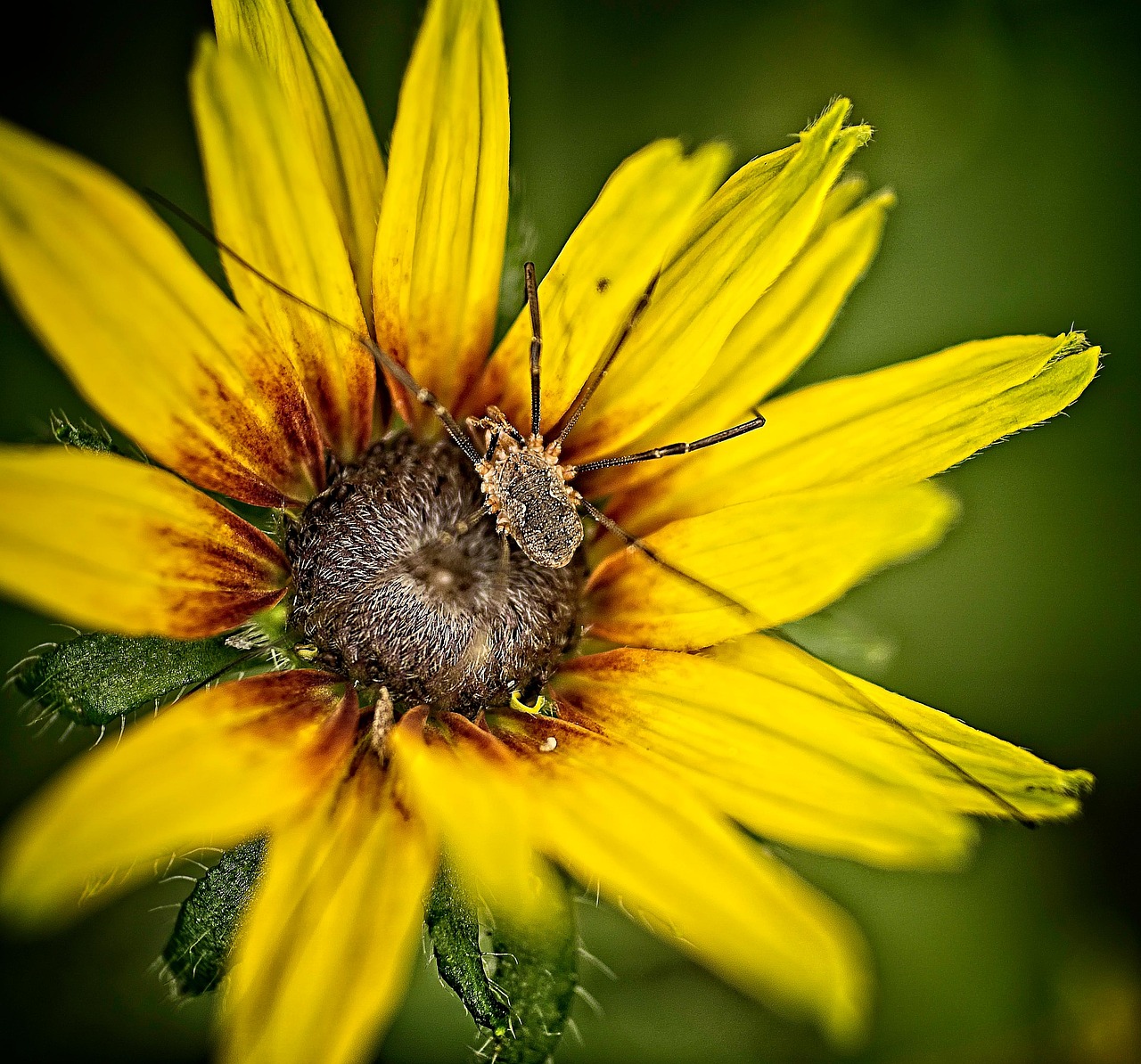 주스 아저씨가 신선한 과일로 직접 만든 주스를 판매하는 모습