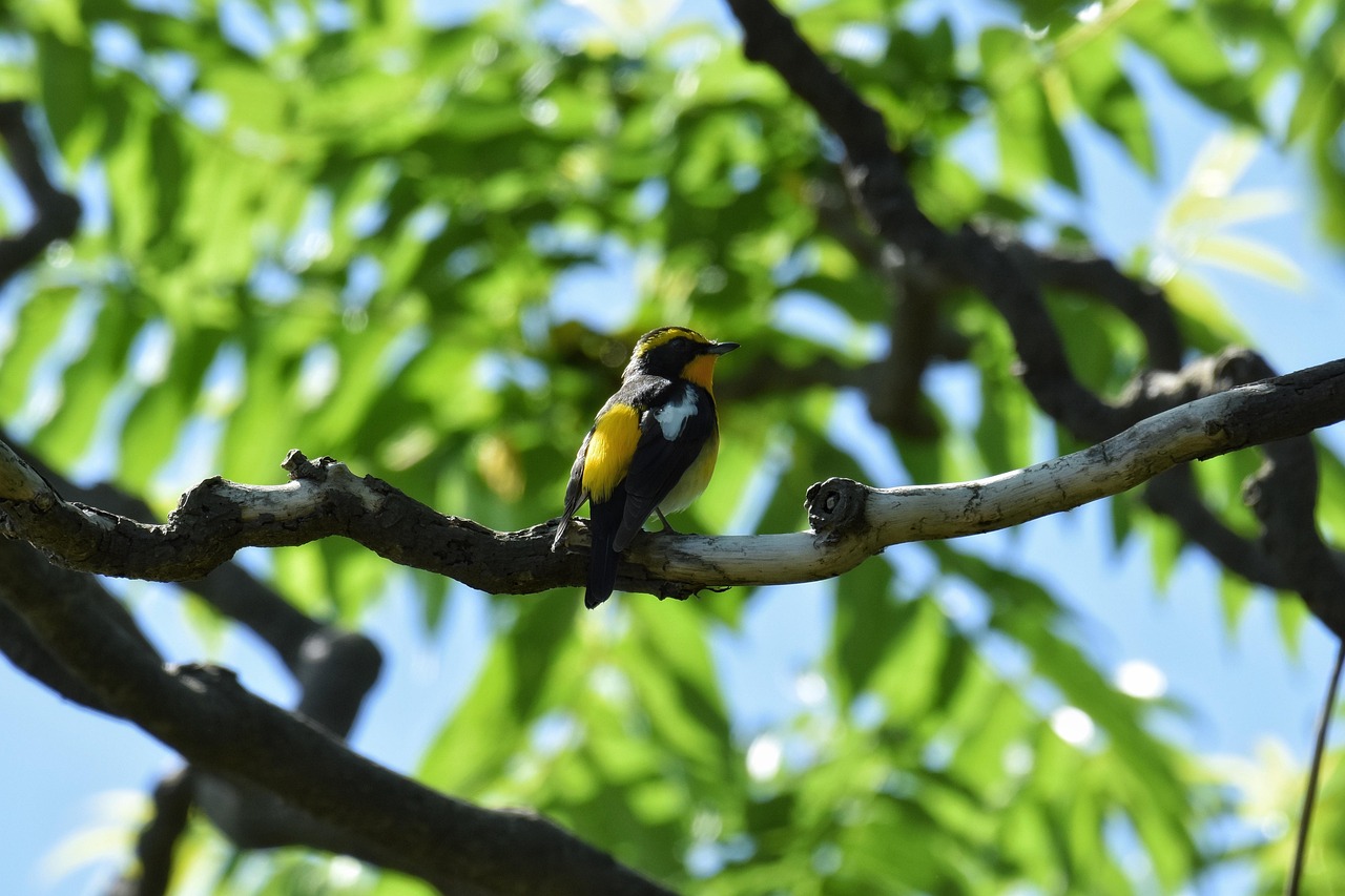 계약학과, 새로운 학업의 기회와 도전 다양한 학과의 전공을 탐색하는 대학생들이 함께 공부하는 모습