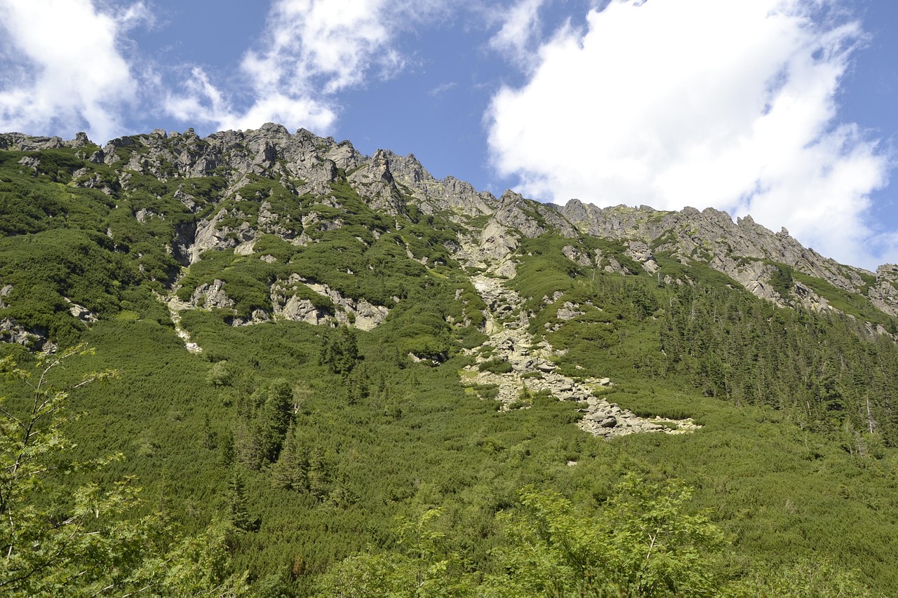 박시우가 밝은 표정으로 카메라를 바라보며 포즈를 취하는 모습