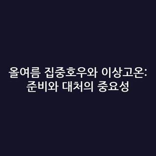 올여름 집중호우와 이상고온: 준비와 대처의 중요성