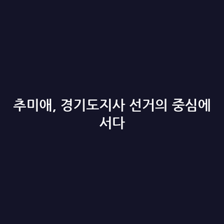 추미애, 경기도지사 선거의 중심에 서다