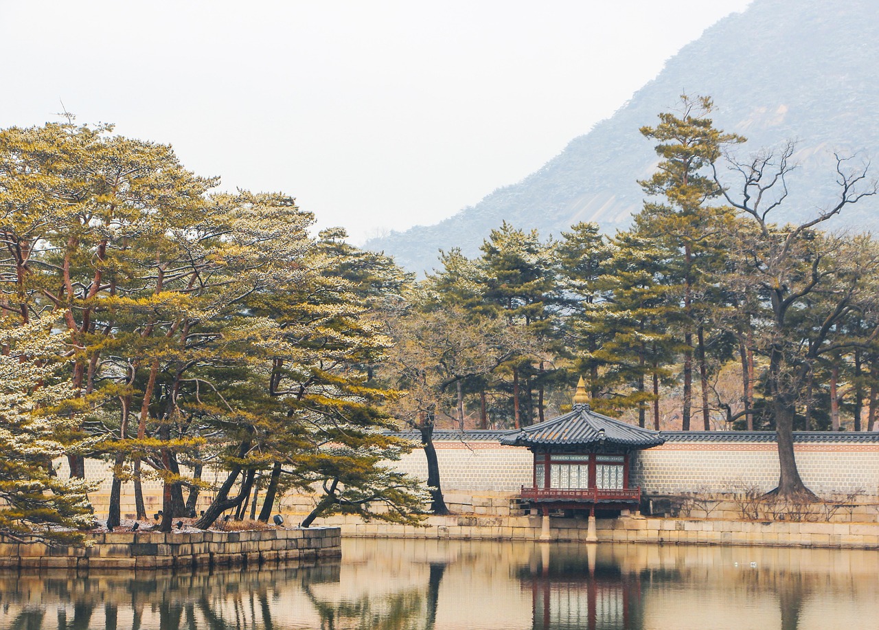 키움 대 LG의 야구 경기 중 선수들이 열띤 경합을 벌이는 모습