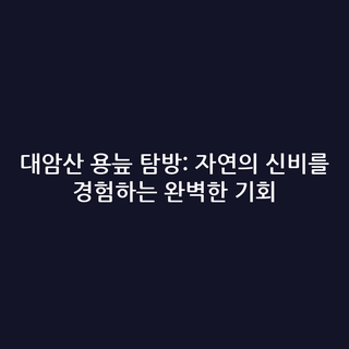 대암산 용늪 탐방: 자연의 신비를 경험하는 완벽한 기회