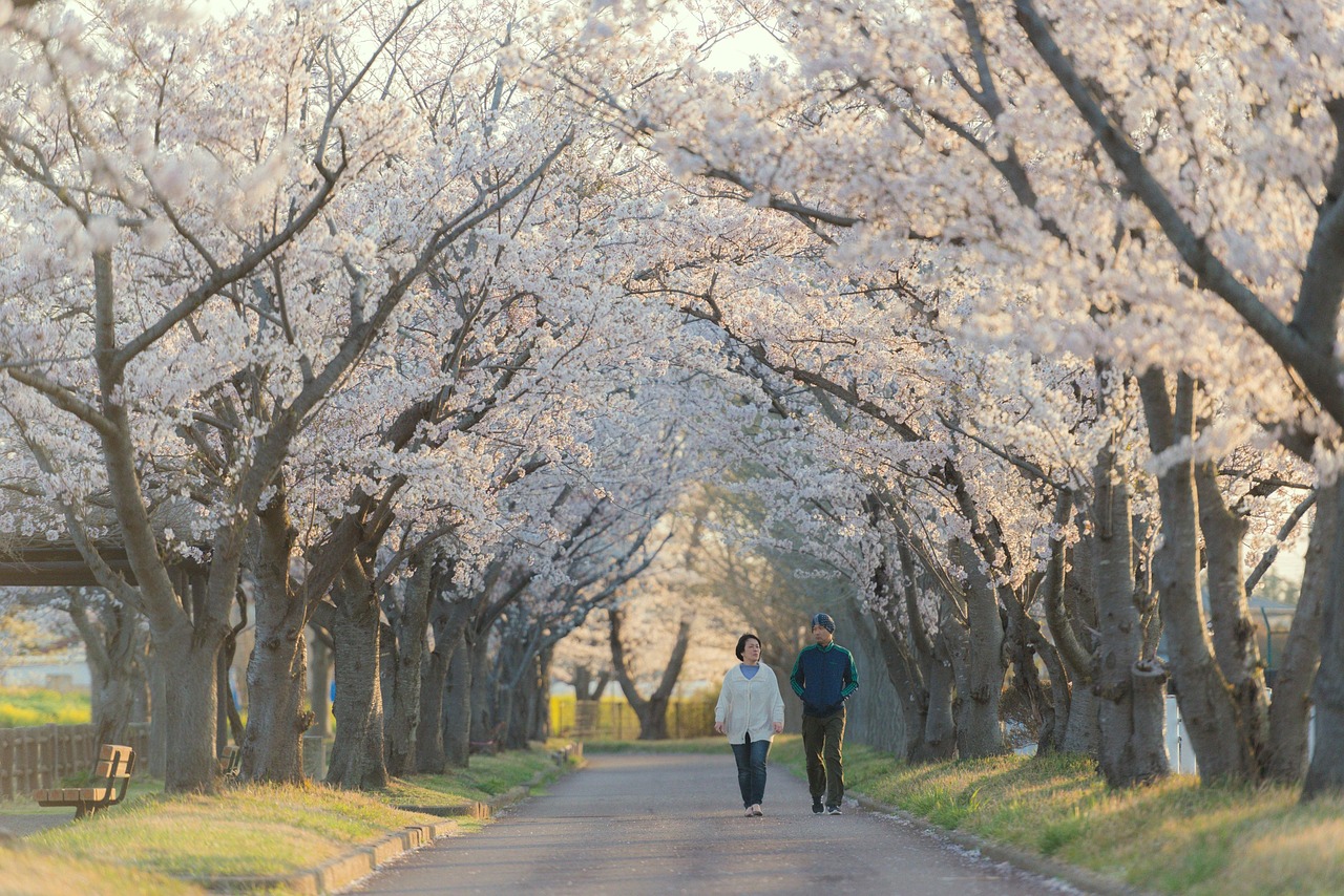 한가인이 화려한 드레스를 입고 포즈를 취하며 미소짓고 있는 모습