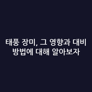 태풍 장미, 그 영향과 대비 방법에 대해 알아보자