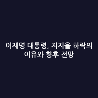 이재명 대통령, 지지율 하락의 이유와 향후 전망