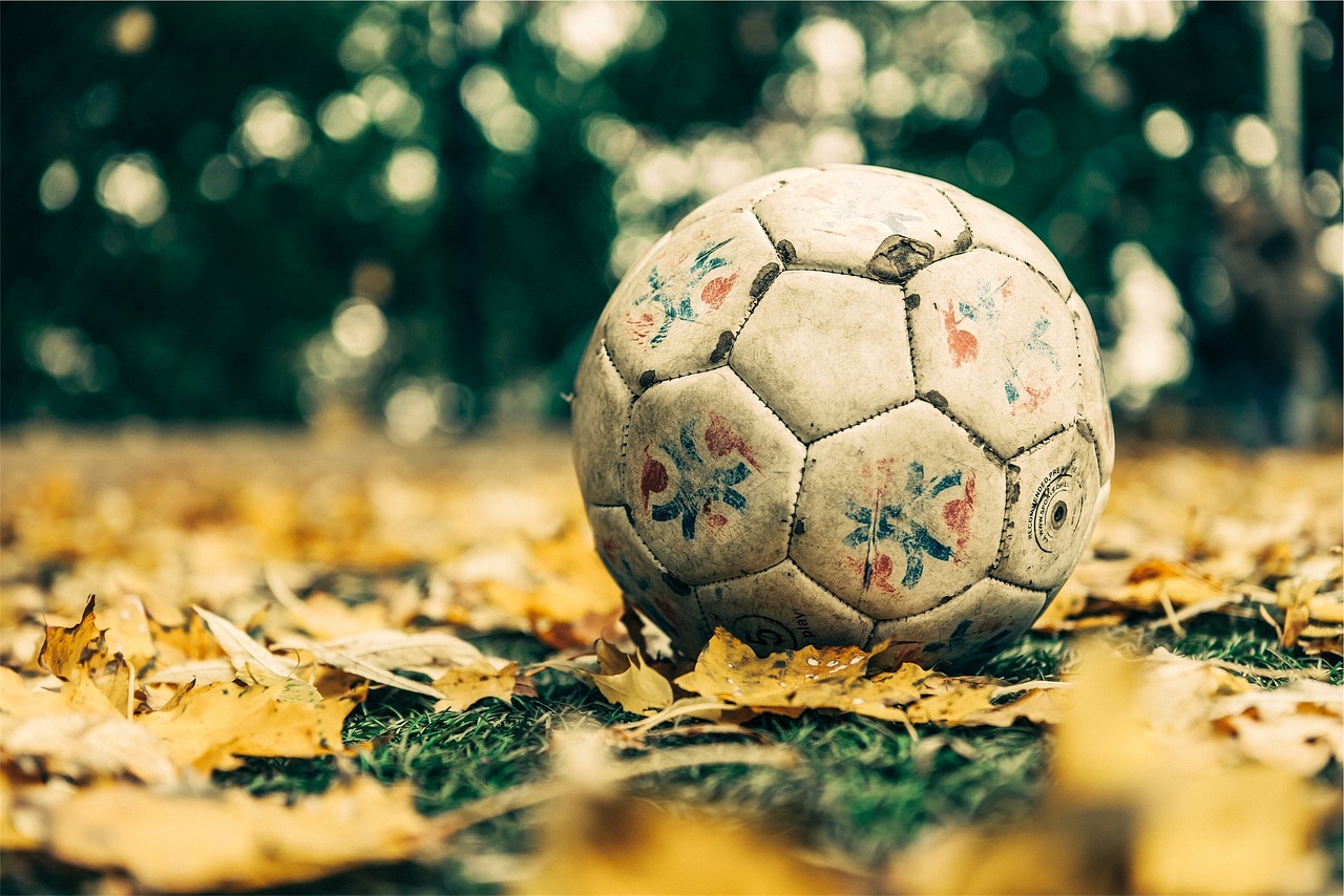 일본 축구 국가대표팀과 스웨덴 축구 국가대표팀의 순위를 비교하는 그래프 이미지