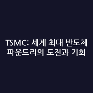 TSMC: 세계 최대 반도체 파운드리의 도전과 기회