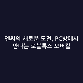 엔씨의 새로운 도전, PC방에서 만나는 로블록스 오버킬