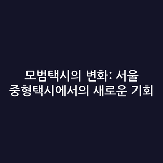 모범택시의 변화: 서울 중형택시에서의 새로운 기회