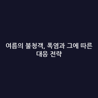 여름의 불청객, 폭염과 그에 따른 대응 전략