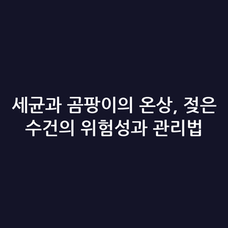 세균과 곰팡이의 온상, 젖은 수건의 위험성과 관리법