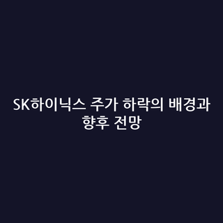 SK하이닉스 주가 하락의 배경과 향후 전망