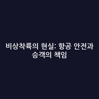 비상착륙의 현실: 항공 안전과 승객의 책임