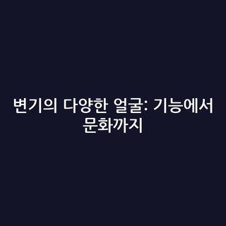 변기의 다양한 얼굴: 기능에서 문화까지