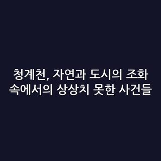 청계천, 자연과 도시의 조화 속에서의 상상치 못한 사건들