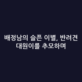 배정남의 슬픈 이별, 반려견 대원이를 추모하며
