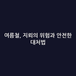 여름철, 지뢰의 위험과 안전한 대처법