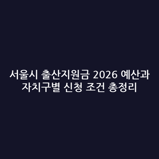 서울시 출산지원금 2026 예산과 자치구별 신청 조건 총정리