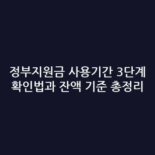 정부지원금 사용기간 3단계 확인법과 잔액 기준 총정리