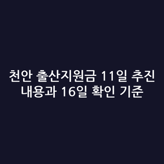 천안 출산지원금 11일 추진 내용과 16일 확인 기준