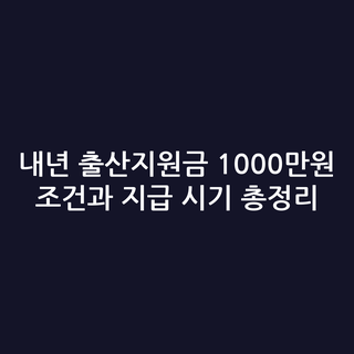 내년 출산지원금 1000만원 조건과 지급 시기 총정리